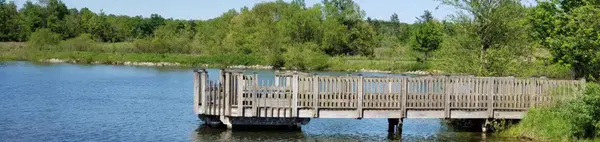 Letha House Park in Medina County: A Hidden Gem for Outdoor Living