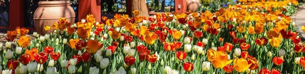 Spring Into Charm: Why Medina County Is Your Must-Visit Escape This Season,Laura Petek