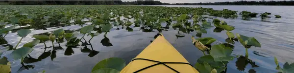 Chippewa Lake Park: Experience Ohio's Largest Natural Inland Lake in Medina County