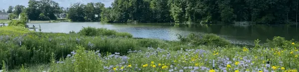 Susan Hambley Nature Center at Brunswick Lake: Discover One of Brunswick's Hidden Gems