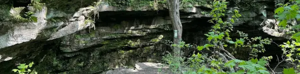 Princess Ledges Nature Preserve Near Brunswick, Ohio: One of Medina County's Most Beautiful Natural Escapes