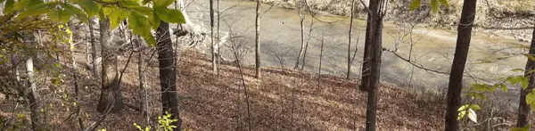 Mill Stream Run Reservation Strongsville, Ohio: Explore One of the Best Parks in Northeast Ohio
