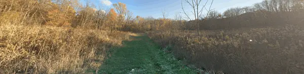 Albion Woods Picnic Area Strongsville, Ohio: A Peaceful Nature Escape in the Cleveland Metroparks