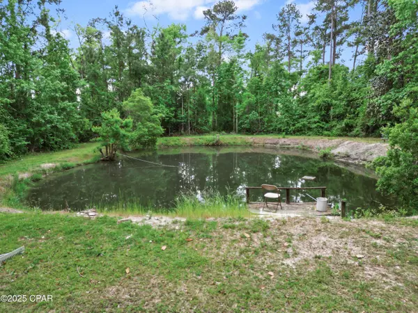 15766 NE Bob Sanders RD, Hosford, FL 32334