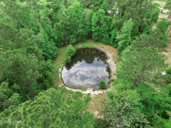 15766 NE Bob Sanders RD, Hosford, FL 32334