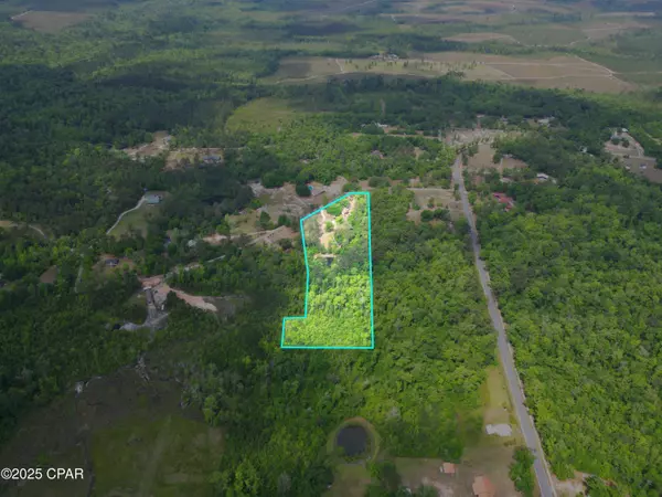 15766 NE Bob Sanders RD, Hosford, FL 32334