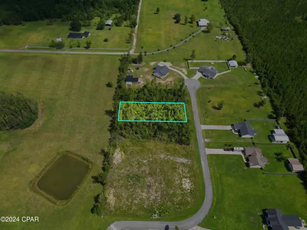 229 Edge Hill RD, Wewahitchka, FL 32465