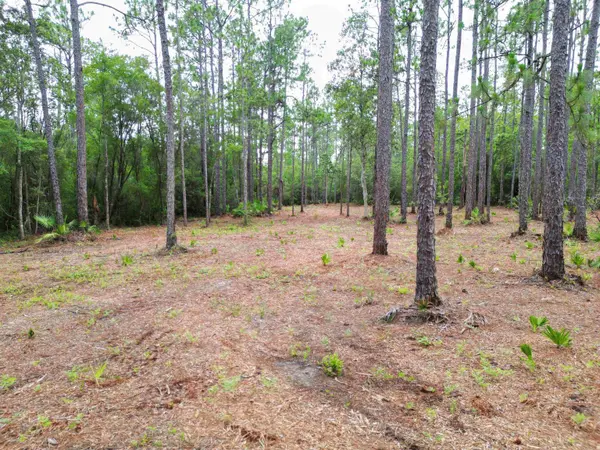 TBD NE Lowery Acres Road, Hosford, FL 32334