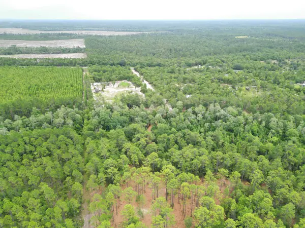 TBD NE Lowery Acres Road, Hosford, FL 32334