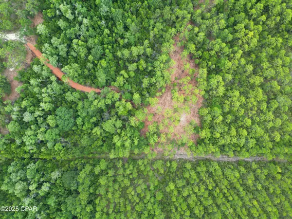 TBD NE Lowery Acres RD, Hosford, FL 32334