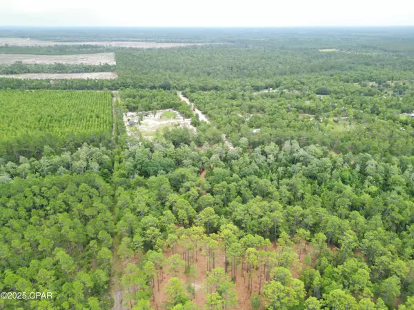 TBD NE Lowery Acres RD, Hosford, FL 32334