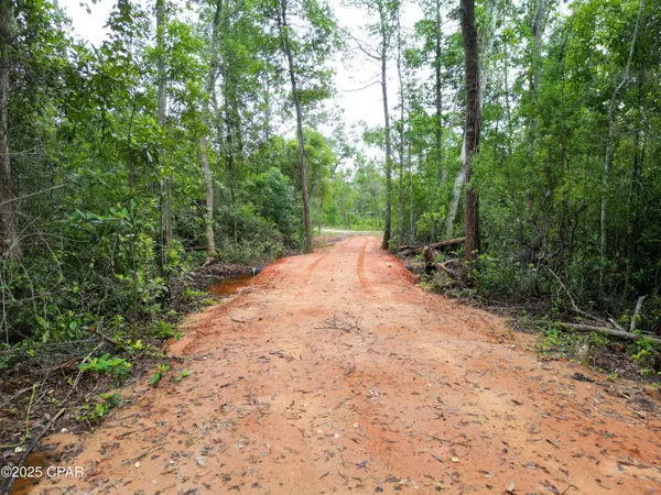 TBD NE Lowery Acres RD, Hosford, FL 32334