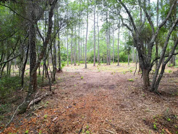 TBD NE Lowery Acres Road, Hosford, FL 32334