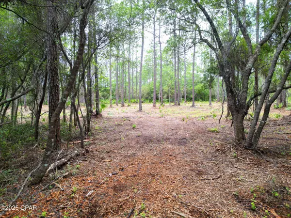 TBD NE Lowery Acres RD, Hosford, FL 32334
