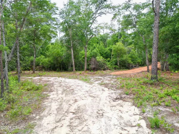 TBD NE Lowery Acres RD, Hosford, FL 32334