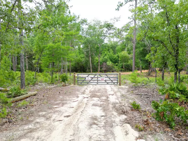 TBD NE Lowery Acres RD, Hosford, FL 32334