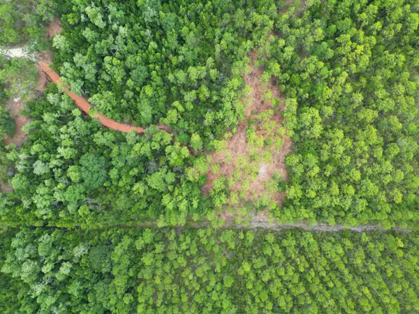 TBD NE Lowery Acres Road, Hosford, FL 32334