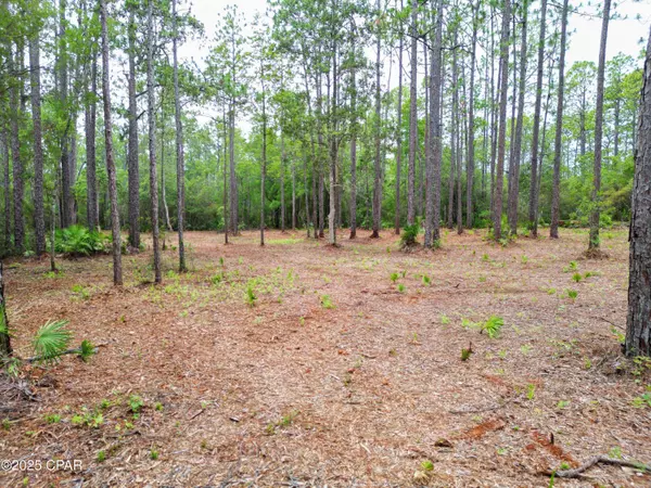TBD NE Lowery Acres RD, Hosford, FL 32334