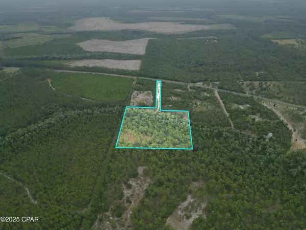 TBD NE Lowery Acres RD, Hosford, FL 32334