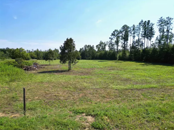 TBD NW County Road 274, Altha, FL 32421