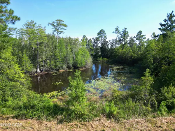 TBD NW County Road 274, Altha, FL 32421