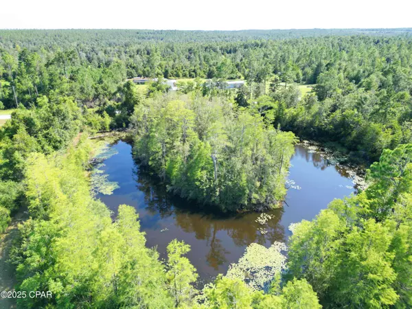 TBD NW County Road 274, Altha, FL 32421