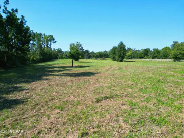 TBD NW County Road 274, Altha, FL 32421