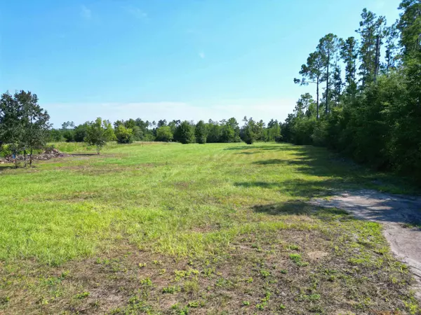 TBD NW County Road 274, Altha, FL 32421