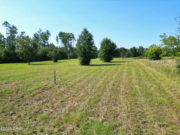 TBD NW County Road 274, Altha, FL 32421