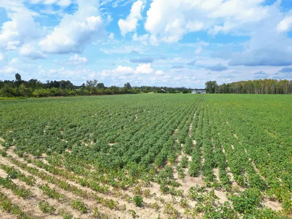 TBD NW Ashley Shiver Road, Altha, FL 32421