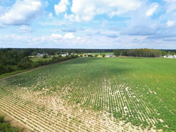 TBD NW Ashley Shiver Road, Altha, FL 32421