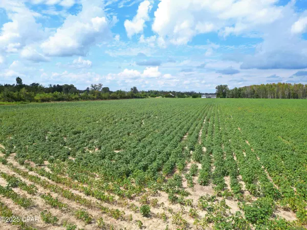 TBD NW Ashley Shiver RD, Altha, FL 32421