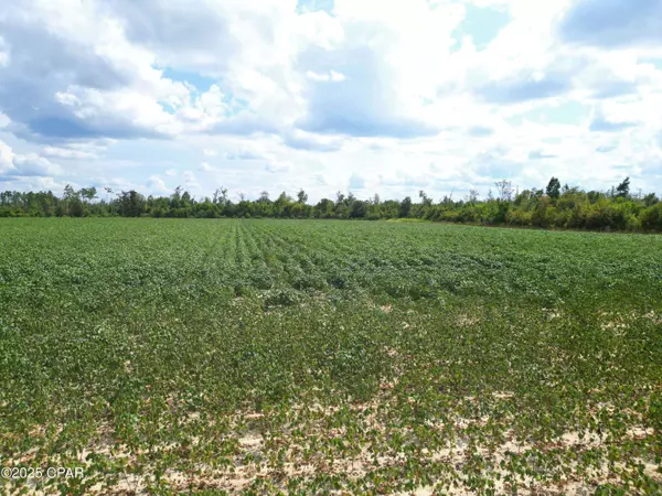 TBD NW Ashley Shiver RD, Altha, FL 32421