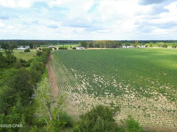 TBD NW Ashley Shiver RD, Altha, FL 32421