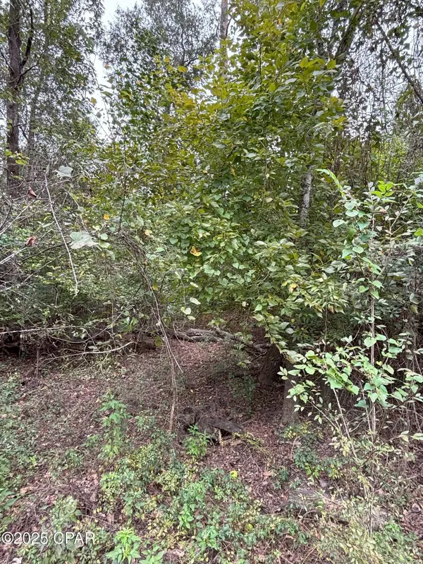 XXX Hillcrest ST, Marianna, FL 32448