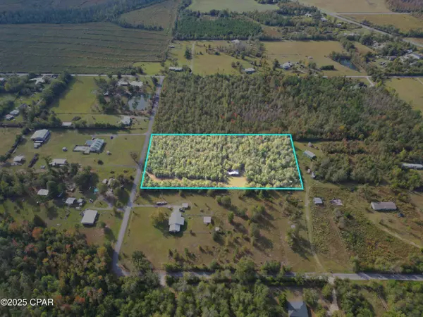 TBD Ne Luke Holland RD, Altha, FL 32421