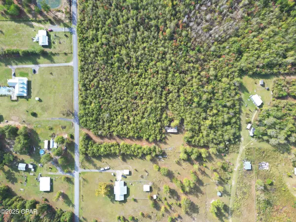TBD Ne Luke Holland RD, Altha, FL 32421