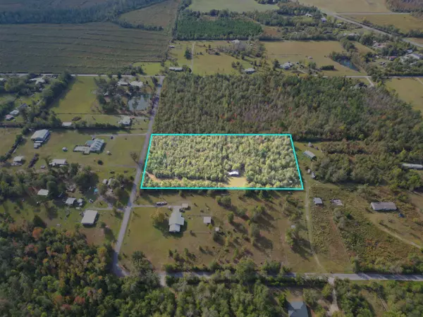 TBD NE Luke Holland Road, Altha, FL 32421