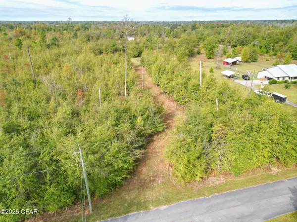 TBD Ne Luke Holland RD, Altha, FL 32421