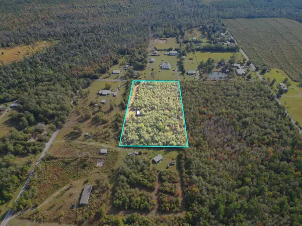 TBD NE Luke Holland Road, Altha, FL 32421