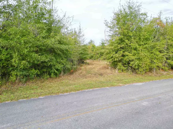 TBD NE Luke Holland Road, Altha, FL 32421