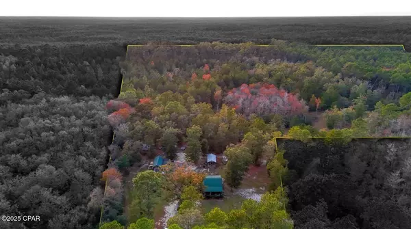 38134 SW Forest Road 123, Bristol, FL 32321