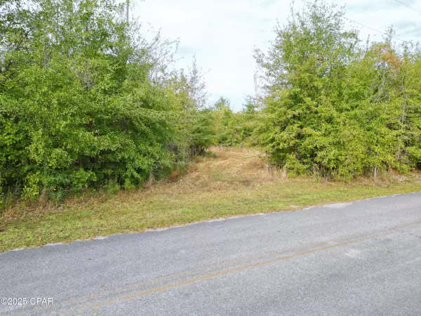 TBD Ne Luke Holland RD, Altha, FL 32421