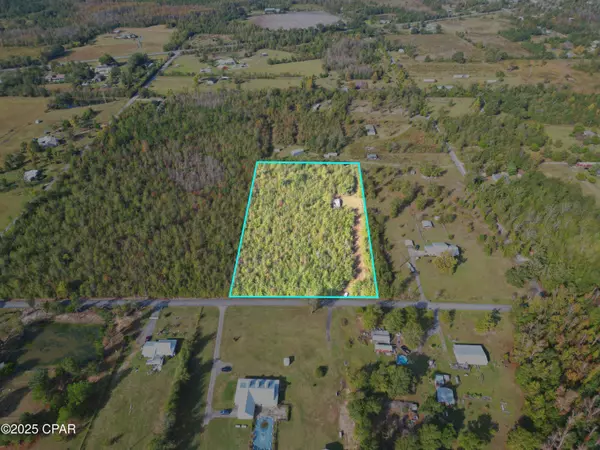 TBD Ne Luke Holland RD, Altha, FL 32421