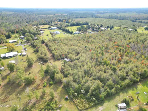 TBD Ne Luke Holland RD, Altha, FL 32421