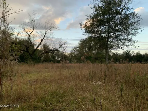 7010 Nobles RD, Grand Ridge, FL 32442