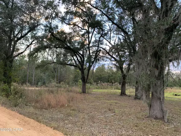 7010 Nobles RD, Grand Ridge, FL 32442