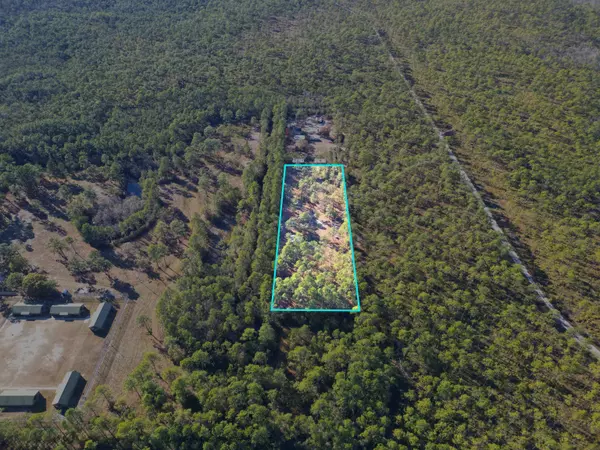 13563 SW Forest Road 141, Bristol, FL 32321