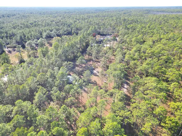 13563 SW Forest Road 141, Bristol, FL 32321