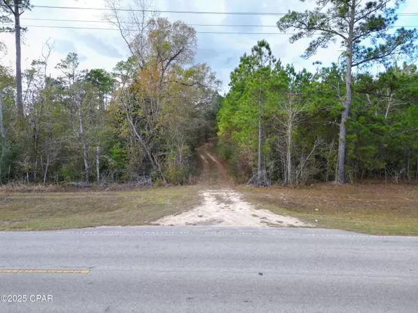 TBD NW County Road 12, Bristol, FL 32321